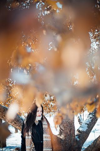 鬼灭之刃第三季