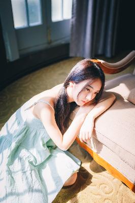 树影迷宫电视剧免费播放