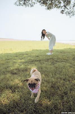 窝窝在线观看免费播放电视剧